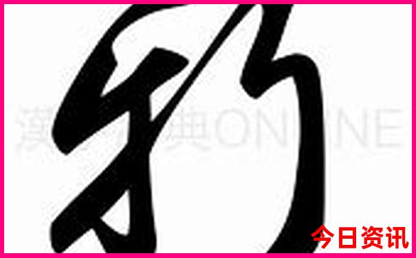 澳门彩号综合走势图